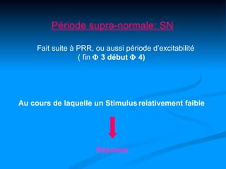 Période supra-normale: SN

     Fait suite à PRR, ou aussi période d’excitabilité
                  ( fin Φ 3 début Φ 4)




Au cours de laquelle un Stimulus relativement faible




                       Réponse
 