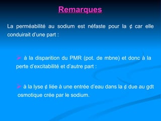 Remarques
La perméabilité au sodium est néfaste pour la ¢ car elle
conduirait d’une part :



    à la disparition du PMR (pot. de mbne) et donc à la
   perte d’excitabilité et d’autre part :


    à la lyse ¢ liée à une entrée d’eau dans la ¢ due au gdt
    osmotique crée par le sodium.
 