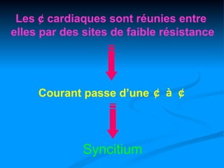 Les ¢ cardiaques sont réunies entre
elles par des sites de faible résistance




     Courant passe d’une ¢ à ¢




              Syncitium
 
