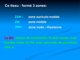 Ce tissu : formé 3 zones:


       ZAN :   zone auriculo-nodale
       ZN:     zone nodale
       ZNH:     zone nodo - Hissienne


La ZN: vitesse de conduction la plus basse, avec
    ZN
montée lente du PA avec pauvreté de jonctions
inter ¢
 