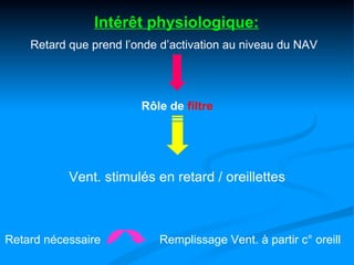 Intérêt physiologique:
    Retard que prend l’onde d’activation au niveau du NAV




                        Rôle de filtre




           Vent. stimulés en retard / oreillettes



Retard nécessaire          Remplissage Vent. à partir c° oreill
 