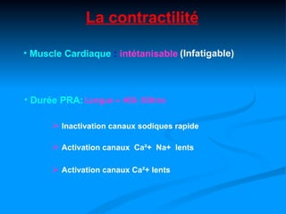 La contractilité

• Muscle Cardiaque : intétanisable (Infatigable)



• Durée PRA: Longue ≈ 400- 500ms

       Inactivation canaux sodiques rapide

       Activation canaux Ca²+ Na+ lents

       Activation canaux Ca²+ lents
 