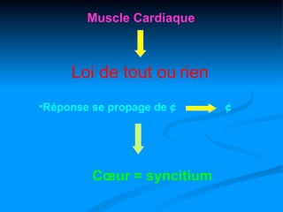 Muscle Cardiaque



     Loi de tout ou rien
•Réponse se propage de ¢    ¢




         Cœur = syncitium
 