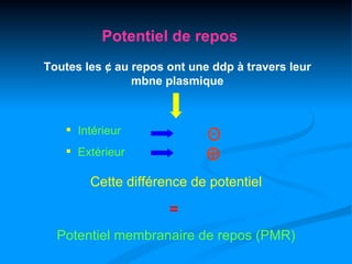 Potentiel de repos
Toutes les ¢ au repos ont une ddp à travers leur
                mbne plasmique



    Intérieur
                             Θ
    Extérieur               ⊕
        Cette différence de potentiel

                      =
  Potentiel membranaire de repos (PMR)
 