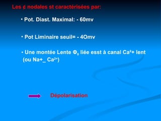 Les ¢ nodales st caractérisées par:

   • Pot. Diast. Maximal: - 60mv


   • Pot Liminaire seuil= - 4Omv

   • Une montée Lente Φ0 liée esst à canal Ca²+ lent
    (ou Na+_ Ca2+)




               Dépolarisation
 