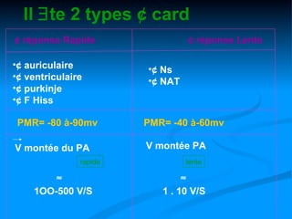 Il ∃te 2 types ¢ card
¢ réponse Rapide                 ¢ réponse Lente

•¢ auriculaire          •¢ Ns
•¢ ventriculaire        •¢ NAT
•¢ purkinje
•¢ F Hiss

 PMR= -80 à-90mv        PMR= -40 à-60mv

V montée du PA          V montée PA
               rapide            lente

        ≈                       ≈
    1OO-500 V/S            1 . 10 V/S
 