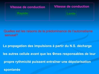 Vitesse de conduction        Vitesse de conduction

        Rapide                           Lente




Quelles est les raisons de la prédominance de l‘automatisme
senusal?


La propagation des impulsions à partir du N.S. décharge

les autres cellule avant que les Φmes responsables de leur

propre rythmicité puissent entraîner une dépolarisation

spontanée
 