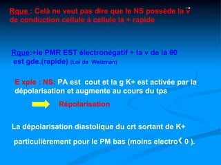 Rque : Celà ne veut pas dire que le NS possède la v
de conduction cellule à cellule la + rapide



Rque:+le PMR EST électronégatif + la v de la θ0
est gde.(rapide) (Loi de Weizman)

 E xple : NS: PA est cout et la g K+ est activée par la
 dépolarisation et augmente au cours du tps
              Répolarisation


La dépolarisation diastolique du crt sortant de K+

                                                  ‹
 particulièrement pour le PM bas (moins electro 0 ).
 