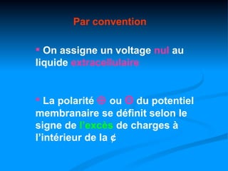 Par convention

 On assigne un voltage nul au
liquide extracellulaire


 La polarité ⊕ ou Θ du potentiel
membranaire se définit selon le
signe de l’excès de charges à
l’intérieur de la ¢
 