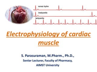 Electrophysiology of cardiac
muscle
S. Parasuraman, M.Pharm., Ph.D.,
Senior Lecturer, Faculty of Pharmacy,
AIMST University
 