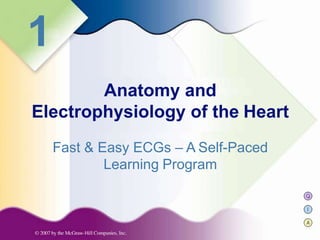 Q
I
A
1
Anatomy and
Electrophysiology of the Heart
Fast & Easy ECGs – A Self-Paced
Learning Program
 
