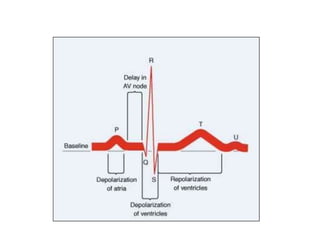 Repolarization Direction Electrophysiology_of_Heart.pptx