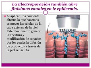 La Electroporación también abre
finísimos canales en le epidermis.
⚫ Al aplicar una corriente
alterna lo que hacemos
es mover las células de la
capa externa de la piel.
Este movimiento genera
la apertura y
modificación de espacios
por los cuales la difusión
de productos a través de
la piel se facilita.
 