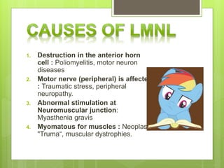 lower motor neuron lesion (LMNL) Slide 18