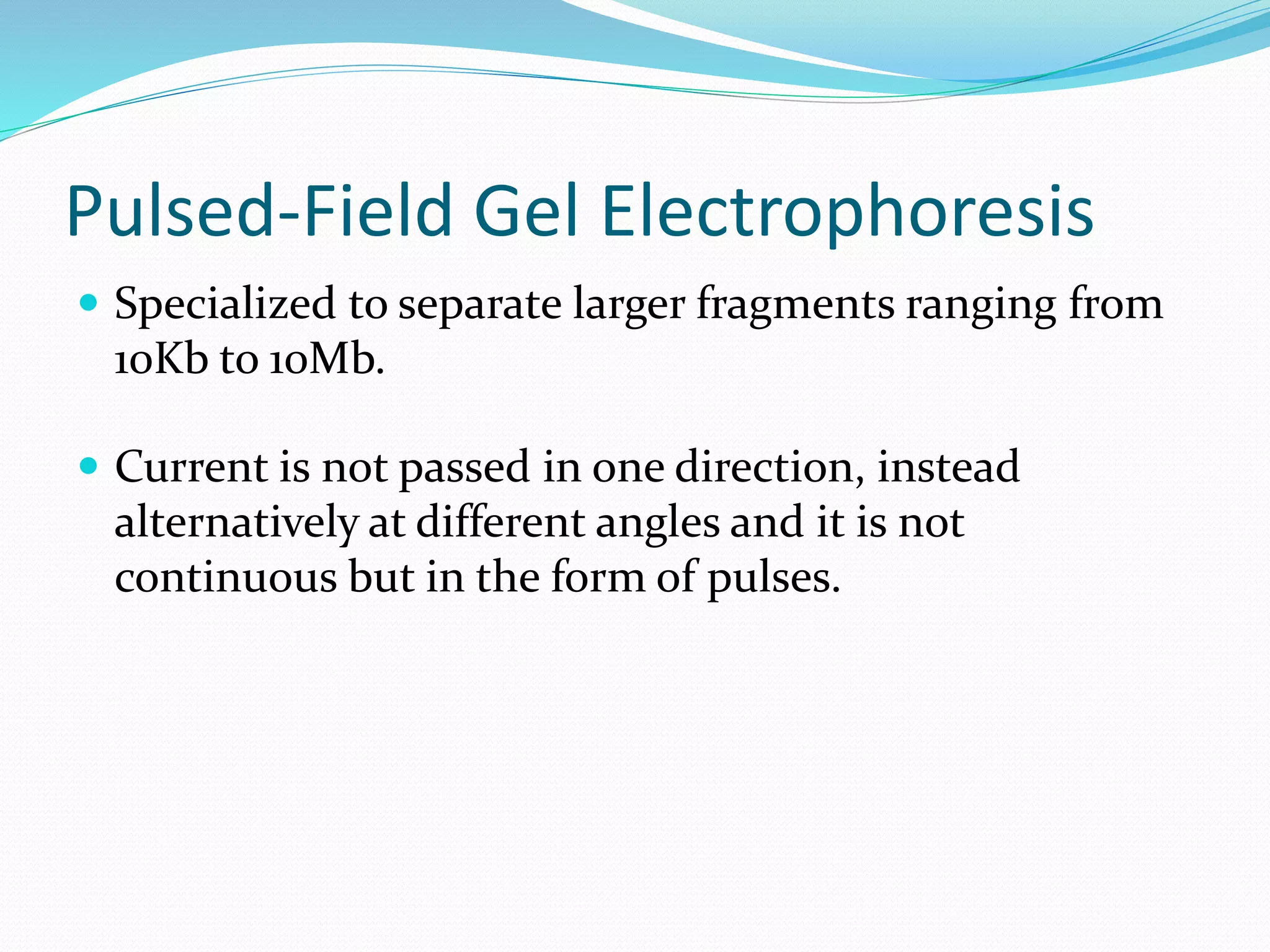 Pulsed-Field Gel Electrophoresis
 Specialized to separate larger fragments ranging from
10Kb to 10Mb.
 Current is not passed in one direction, instead
alternatively at different angles and it is not
continuous but in the form of pulses.
 