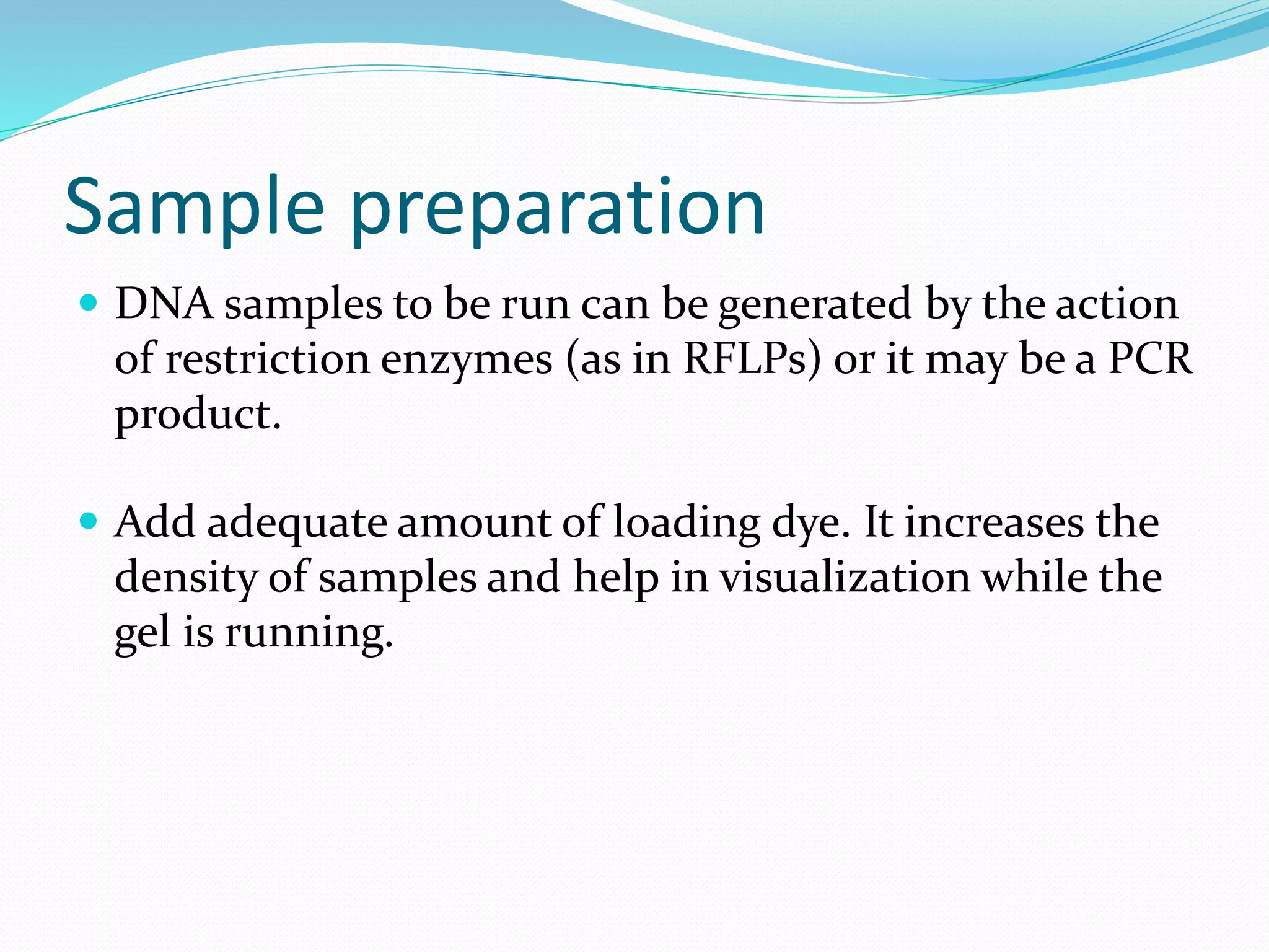 Sample preparation
 DNA samples to be run can be generated by the action
of restriction enzymes (as in RFLPs) or it may be a PCR
product.
 Add adequate amount of loading dye. It increases the
density of samples and help in visualization while the
gel is running.
 