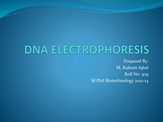 Prepared By:
M. Kaleem Iqbal
Roll No: 309
M.Phil Biotechnology 2012-14
 