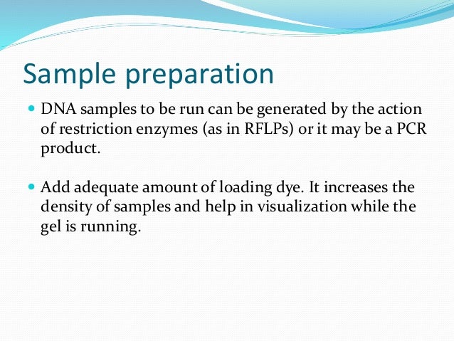 Restriction Enzymes Room Temperature Restriction Enzymes Room Temperature