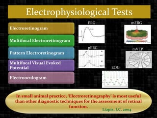 ELECTRORETINOGRAPHY (in veterinary).pptx