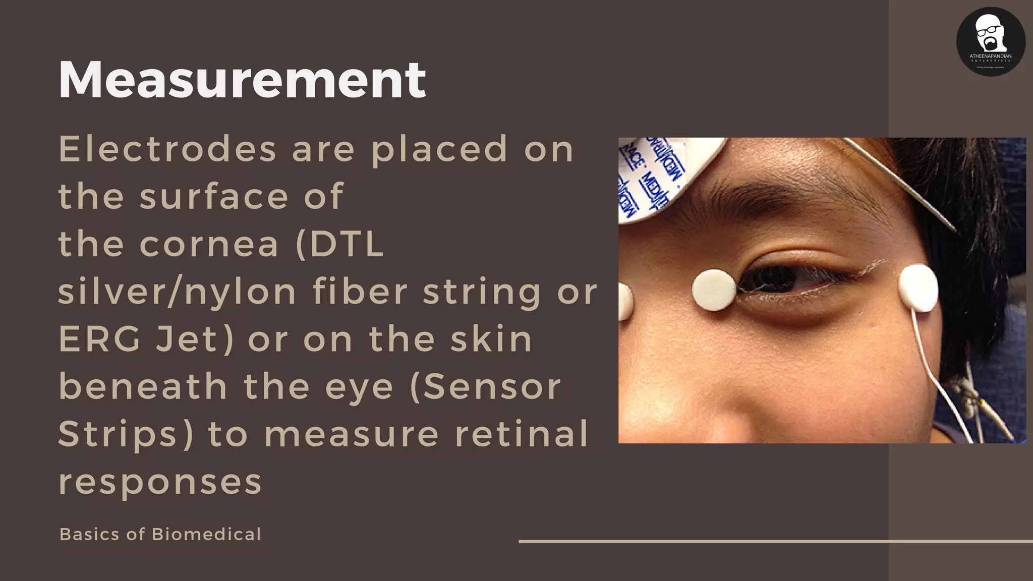 Electroretinography basics | PDF
