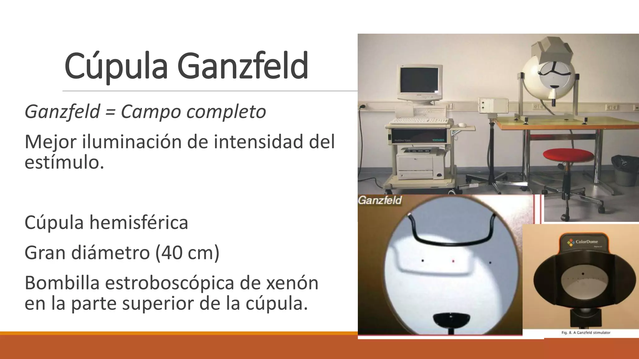 Electrofisiologia de la vision: Electrorretinograma (ERG) y ...
