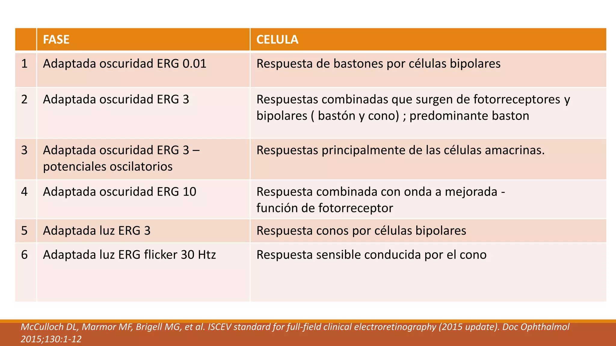 Electrofisiologia de la vision: Electrorretinograma (ERG) y ...