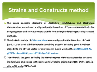  The genes encoding dockerins of Acetivibrio cellulolyticus and Clostridium
thermocellum were cloned and ligated to the Cterminus of Zymomonas mobilis alcohol
dehydrogenase and to Pseudomonasputida formaldehyde dehydrogenase by standard
methods.
 The dockerin module of C.thermocellum was also ligated to the Cterminus of CueO
(CueO- Ct) of E.coli. All the dockerin-containing enzymes encoding genes have been
cloned into the pET15b vector for expression in E. coli, yielding the pET15b-zADH-Ac,
pET15b- pFormDH-Ct, and pET15b-CueO-Ct vectors.
 For controls, the genes encoding the native enzymes without an appended dockerin
module were also cloned in the same vector, yielding plasmids pET15b- zADH, pET15b-
pFormDH, and pET15b-CueO.
Strains and Constructs method
surya prabhakar singh- electrosome
 