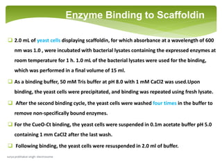 Enzyme Binding to Scaffoldin
 2.0 mL of yeast cells displaying scaffoldin, for which absorbance at a wavelength of 600
nm was 1.0 , were incubated with bacterial lysates containing the expressed enzymes at
room temperature for 1 h. 1.0 mL of the bacterial lysates were used for the binding,
which was performed in a final volume of 15 ml.
 As a binding buffer, 50 mM Tris buffer at pH 8.0 with 1 mM CaCl2 was used.Upon
binding, the yeast cells were precipitated, and binding was repeated using fresh lysate.
 After the second binding cycle, the yeast cells were washed four times in the buffer to
remove non-specifically bound enzymes.
 For the CueO-Ct binding, the yeast cells were suspended in 0.1m acetate buffer pH 5.0
containing 1 mm CaCl2 after the last wash.
 Following binding, the yeast cells were resuspended in 2.0 ml of buffer.
surya prabhakar singh- electrosome
 