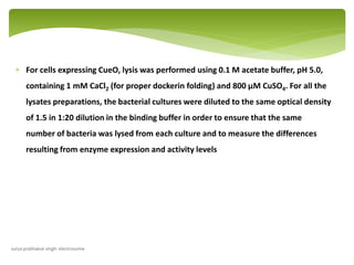  For cells expressing CueO, lysis was performed using 0.1 M acetate buffer, pH 5.0,
containing 1 mM CaCl2 (for proper dockerin folding) and 800 μM CuSO4. For all the
lysates preparations, the bacterial cultures were diluted to the same optical density
of 1.5 in 1:20 dilution in the binding buffer in order to ensure that the same
number of bacteria was lysed from each culture and to measure the differences
resulting from enzyme expression and activity levels
surya prabhakar singh- electrosome
 