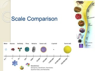 Scale Comparison
 