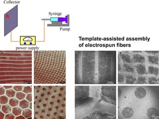 57
Template-assisted assembly
of electrospun ﬁbers
 