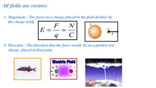 1. Magnitude - The force on a charge placed in the field divided by
the charge itself.
1. Direction - The direction that the force would be on a positive test
charge placed at that point.
All fields are vectors:
 