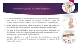Efectos fisiológicos de los campos magnéticos.
 Movimiento inducido de sustancias ionizadas en disolución, ya se encuentren
estos iones en el torrente sanguíneo, en el plasma extravasado o en los más
diversos tejidos de nuestro cuerpo, el efecto a distancia de la Magnetoterapia.
 Acción sobre los osteoblastos, células generadoras de hueso, por medio de la
pieza electricidad favoreciendo una regeneración acelerada del tejido óseo.
 Elevación de la solubilidad de sustancias en medio acuoso, facilitando con
ello el efecto trófico, los tejidos eliminarán más rápido las sustancias tóxicas y
se alimentarán y oxigenarán de modo más eficaz.
 Aumento inducido, en la zona de aplicación, del metabolismo y acción de
equilibrio sobre el potencial de membrana normalizando la actuación de la
bomba sodio potasio.
 