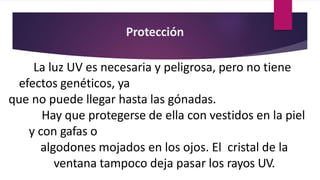 Protección
La luz UV es necesaria y peligrosa, pero no tiene
efectos genéticos, ya
que no puede llegar hasta las gónadas.
Hay que protegerse de ella con vestidos en la piel
y con gafas o
algodones mojados en los ojos. El cristal de la
ventana tampoco deja pasar los rayos UV.
 