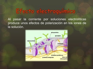 Al pasar la corriente por soluciones electrolíticas
produce unos efectos de polarización en los iones de
la solución.

 