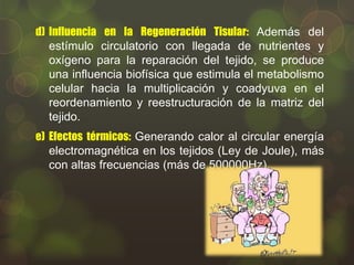 d) Influencia en la Regeneración Tisular: Además del
estímulo circulatorio con llegada de nutrientes y
oxígeno para la reparación del tejido, se produce
una influencia biofísica que estimula el metabolismo
celular hacia la multiplicación y coadyuva en el
reordenamiento y reestructuración de la matriz del
tejido.
e) Efectos térmicos: Generando calor al circular energía
electromagnética en los tejidos (Ley de Joule), más
con altas frecuencias (más de 500000Hz).

 