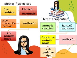A.de
metabolismo
Estimulación
Neuromuscular
A.de
conducción
nerviosa
Vasodilatación
A.de
producción
oxigeno
Efectos fisiológicos
Efectos terapéuticos
Aumentode
metabolismo
Estimulación
neuromuscular
Aumento de
conducción
nerviosa
Vasodilatación
A.de
producción
oxigeno
 