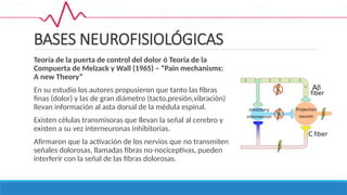 ELECTROTERAPIA TENS Y SUS CARACTERISTICAS | PPTX