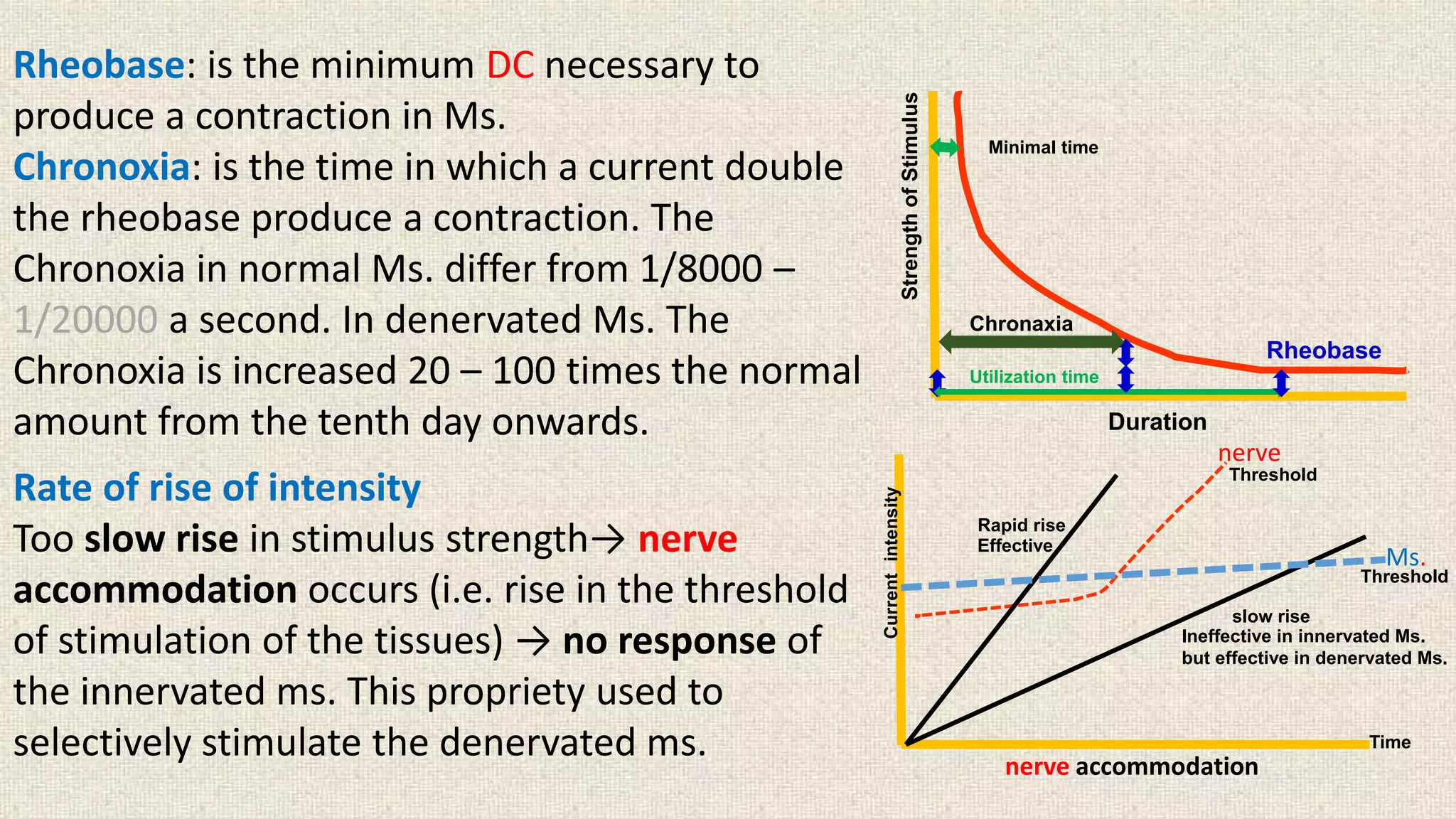 Rheobase: is the minimum DC necessary to 
produce a contraction in Ms. 
Chronoxia: is the time in which a current double 
the rheobase produce a contraction. The 
Chronoxia in normal Ms. differ from 1/8000 – 
1/20000 a second. In denervated Ms. The 
Chronoxia is increased 20 – 100 times the normal 
amount from the tenth day onwards. Duration 
Strength of Stimulus 
Minimal time 
Chronaxia 
Utilization time 
Rheobase 
Threshold 
Time 
Current intensity 
nerve 
Threshold 
Rapid rise 
Effective 
slow rise 
Ineffective in innervated Ms. 
but effective in denervated Ms. 
Rate of rise of intensity 
Too slow rise in stimulus strength→ nerve 
accommodation occurs (i.e. rise in the threshold 
of stimulation of the tissues) → no response of 
the innervated ms. This propriety used to 
selectively stimulate the denervated ms. 
nerve accommodation 
Ms. 
 