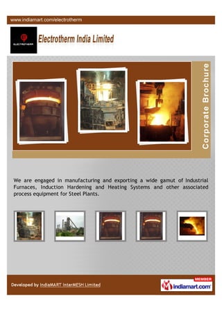 We are engaged in manufacturing and exporting a wide gamut of Industrial
Furnaces, Induction Hardening and Heating Systems and other associated
process equipment for Steel Plants.
 