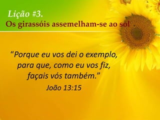 Lição #3.
Os girassóis assemelham-se ao sol

“Porque eu vos dei o exemplo,
para que, como eu vos fiz,
façais vós também.”
João 13:15

 