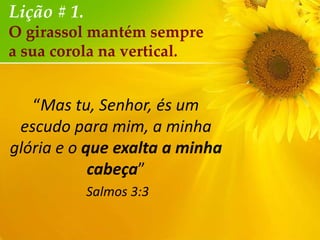 Lição # 1.
O girassol mantém sempre
a sua corola na vertical.

“Mas tu, Senhor, és um
escudo para mim, a minha
glória e o que exalta a minha
cabeça”
Salmos 3:3

 