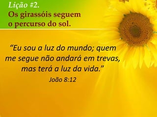 Lição #2.
Os girassóis seguem
o percurso do sol.

“Eu sou a luz do mundo; quem
me segue não andará em trevas,
mas terá a luz da vida.”
João 8:12

 