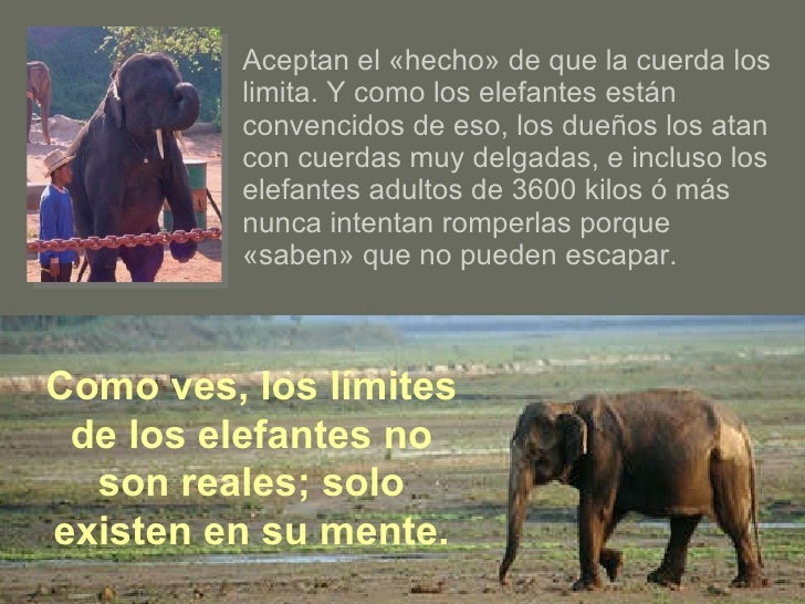 Quitar las manchas de pigmento por el láser moskva