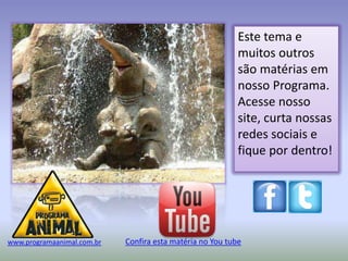 Este tema e
                                                           muitos outros
                                                           são matérias em
                                                           nosso Programa.
                                                           Acesse nosso
                                                           site, curta nossas
                                                           redes sociais e
                                                           fique por dentro!




www.programaanimal.com.br   Confira esta matéria no You tube
 