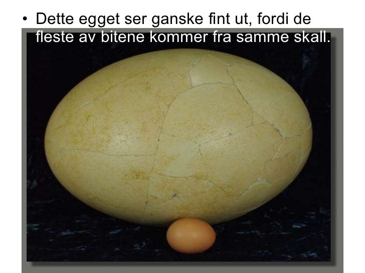 Klekking av hønseegg Klekking av hønseegg