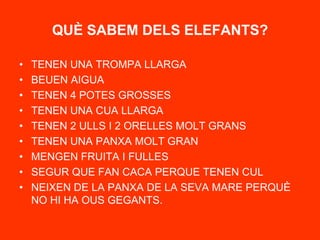 QUÈ SABEM DELS ELEFANTS?<br />TENEN UNA TROMPA LLARGA<br />BEUEN AIGUA<br />TENEN 4 POTES GROSSES<br />TENEN UNA CUA LLARG...