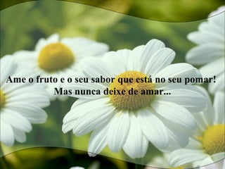 Ame o fruto e o seu sabor que está no seu pomar!
Mas nunca deixe de amar...
 