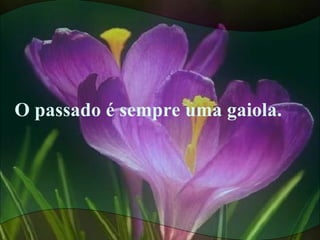 O passado é sempre uma gaiola.
 