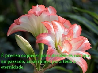 É preciso esquecer para desatar os nós que,
no passado, amarramos para toda a
eternidade.
 